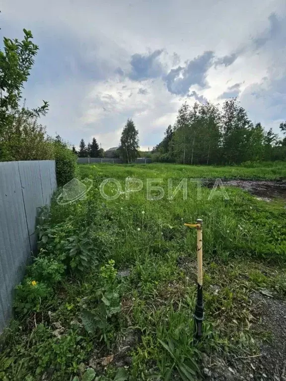 Участок в Тюменская область, Тюмень Лаванда садовое товарищество,  ... - Фото 0