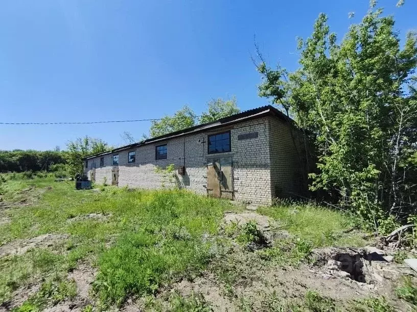 Производственное помещение в Самарская область, Кинель-Черкассы с/пос, ... - Фото 1