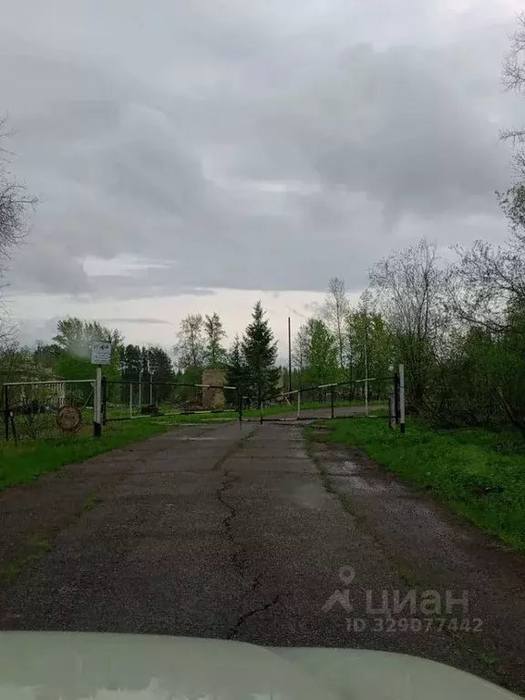 Участок в Пермский край, Пермский муниципальный округ, пос. Бырма  ... - Фото 1