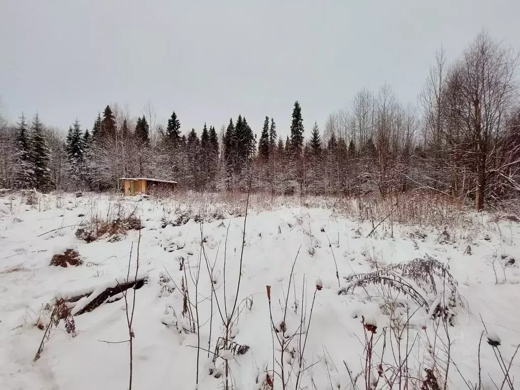 Дом в Коми, Сыктывдинский район, Выльгорт муниципальное образование, ... - Фото 2