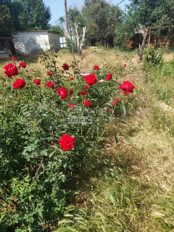 Дом 70 м на участке 12 сот. - Фото 1