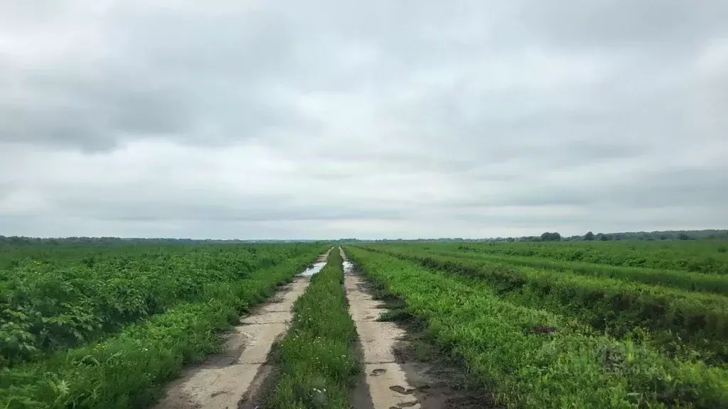 Производственное помещение в Московская область, Коломна городской ... - Фото 1