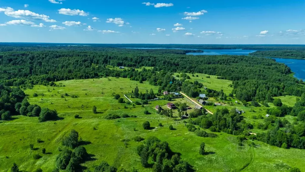 Участок в Тверская область, Селижаровский муниципальный округ, д. ... - Фото 0