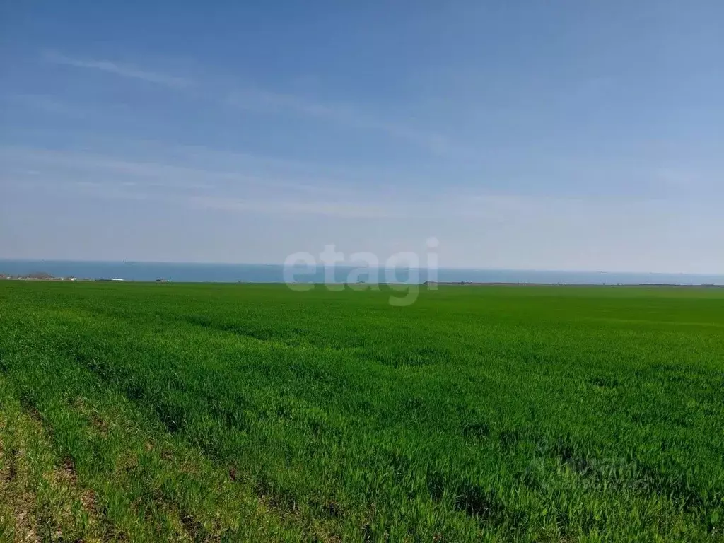 Участок в Крым, Ленинский район, Челядиновское с/пос, с. Челядиново ... - Фото 0