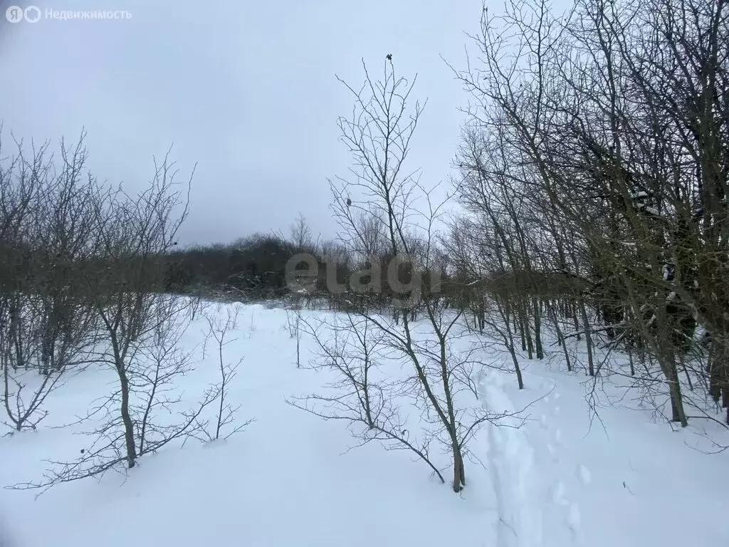 Участок в село Новая Усмань, Октябрьская улица, 1 (6 м) - Фото 1