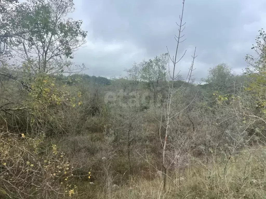 Участок в Северная Осетия, Алагир ул. Караева (5.0 сот.) - Фото 2