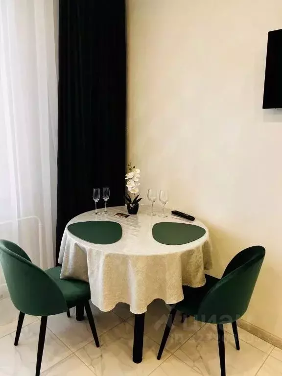 1-к кв. Новосибирская область, Искитим Советская ул., 245/4 (21.0 м) - Фото 1