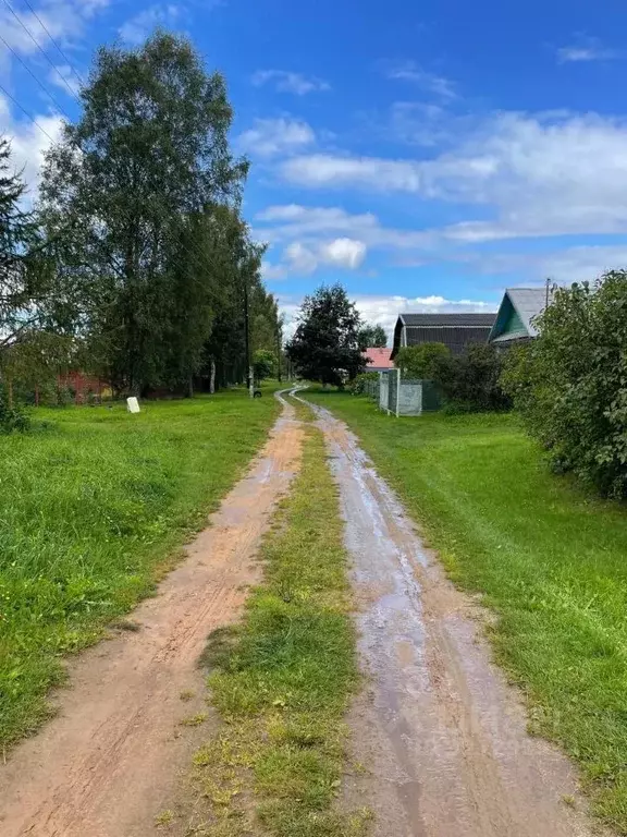 Участок в Тверская область, Старицкий муниципальный округ, д. Каленицы ... - Фото 1