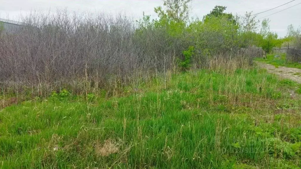 Участок в Оренбургская область, Оренбург Нефтехимик СТ,  (5.22 сот.) - Фото 2