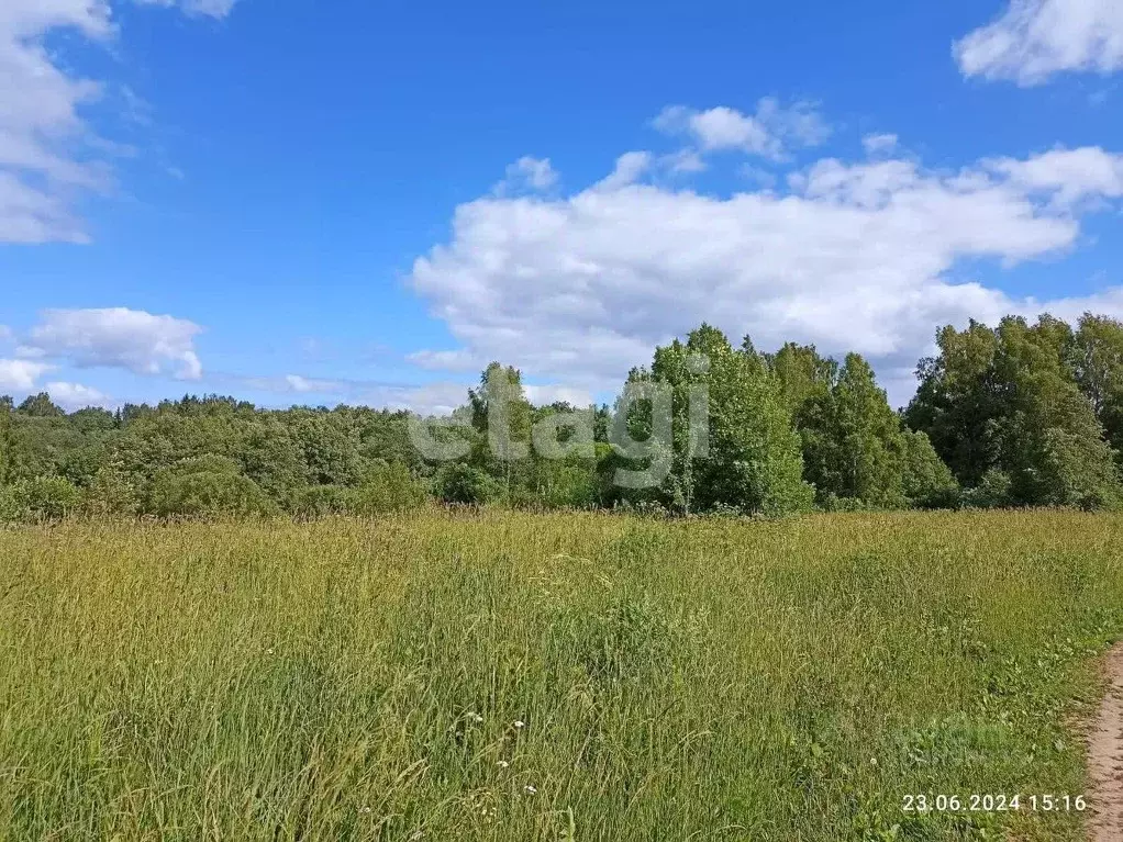 Участок в Костромская область, Нерехтский район, Волжское с/пос, с. ... - Фото 1
