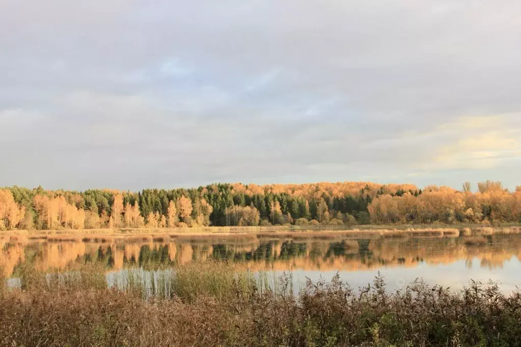 Участок в Московская область, Дмитровский городской округ, с. ... - Фото 0