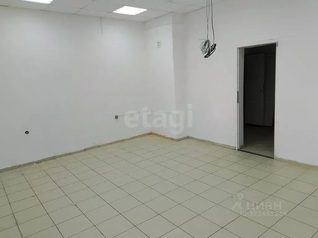 Помещение свободного назначения в Вологодская область, Грязовец ул. ... - Фото 1