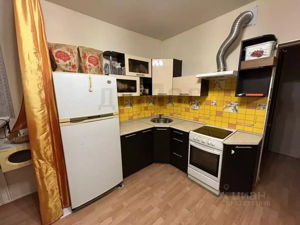 Студия Свердловская область, Белоярский муниципальный округ, с. ... - Фото 2