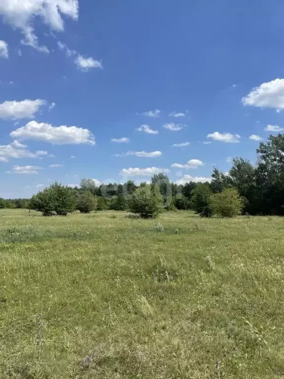 Участок в Белгородская область, Старооскольский городской округ, ... - Фото 1