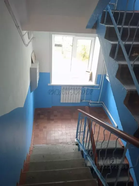 3-к кв. Алтай, Горно-Алтайск ул. Григория Чорос-Гуркина, 34 (57.3 м) - Фото 1