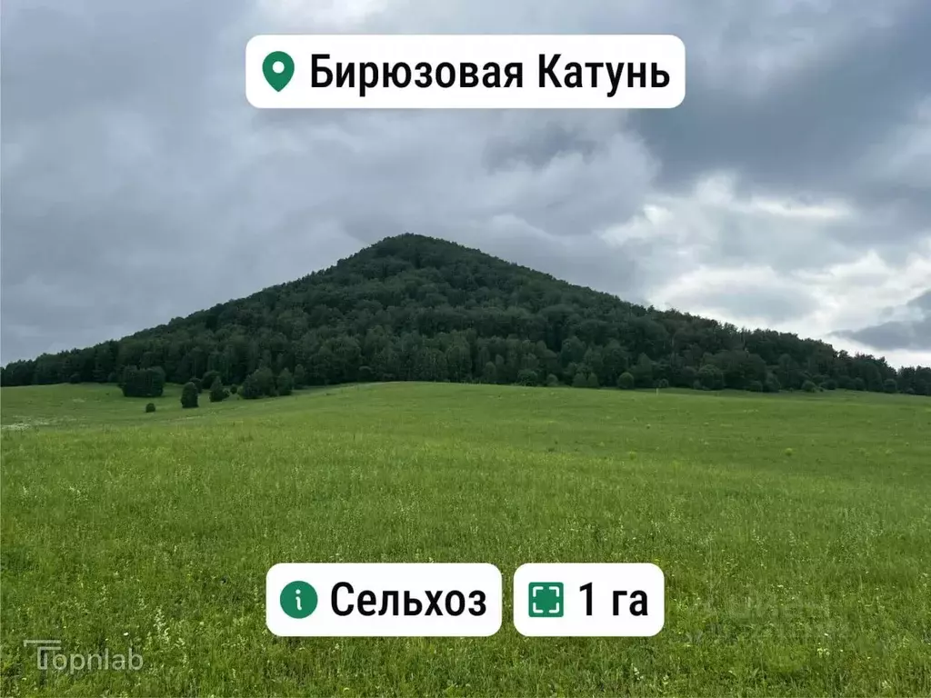 Участок в Алтай, Майминский район, с. Манжерок  (1.0 сот.) - Фото 1