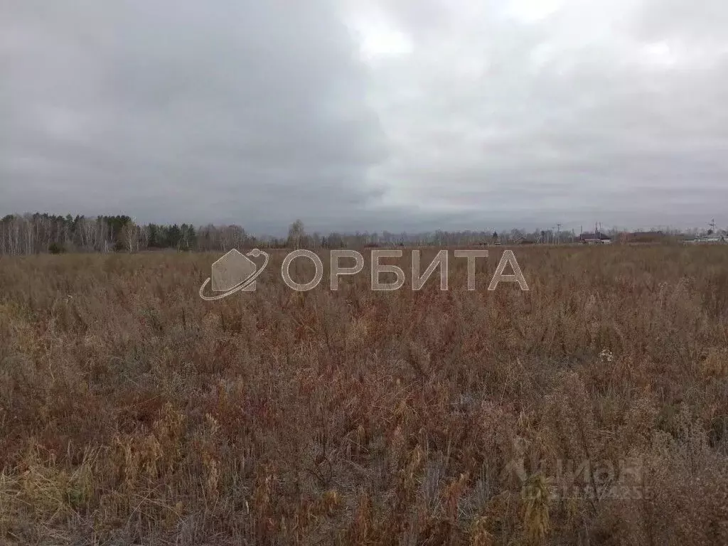 Участок в Тюменская область, Тюменский район, с. Каменка  (15.0 сот.) - Фото 1