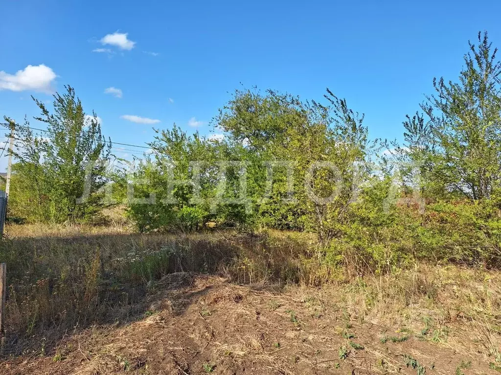 Участок в Ростовская область, Родионово-Несветайский район, ... - Фото 1