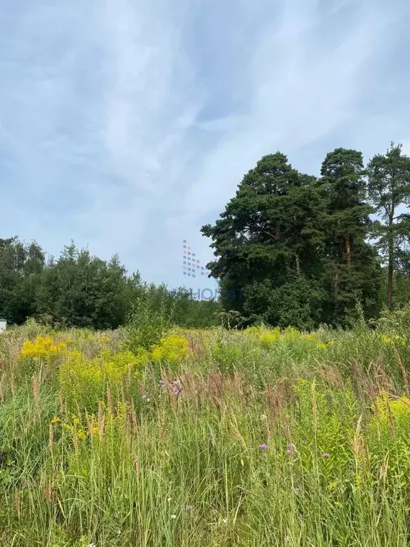 Участок в Московская область, Ленинский городской округ, д. Суханово, ... - Фото 1