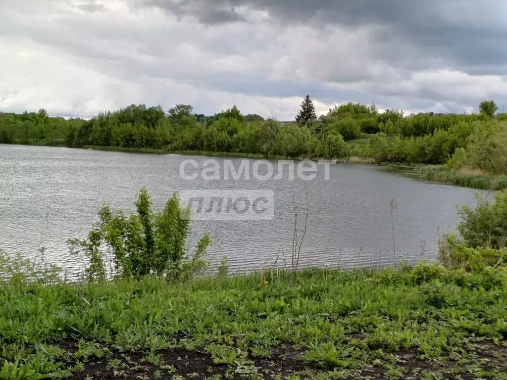 Дом в Курская область, Курский район, Нижнемедведицкий сельсовет, д. ... - Фото 0