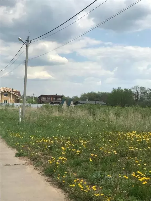 Участок в Московская область, Пушкинский городской округ, д. Алешино, ... - Фото 1