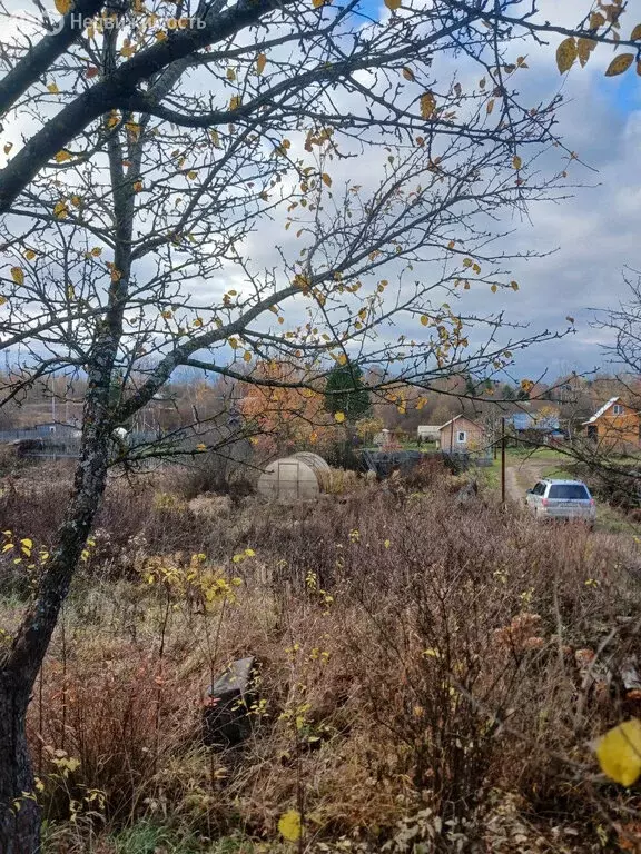 Участок в Вологодский муниципальный округ, село Кубенское (2 м) - Фото 0