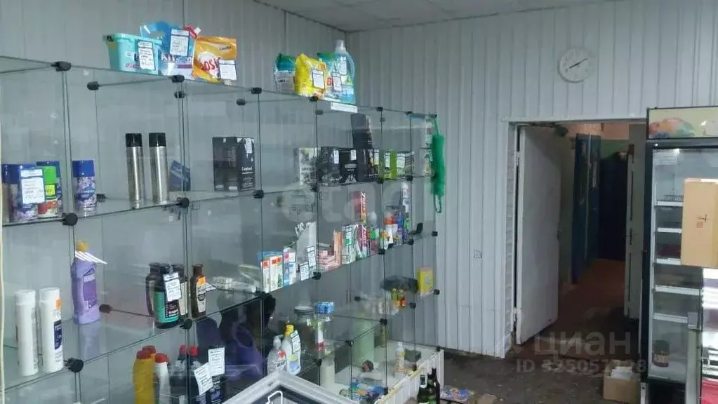 Торговая площадь в Мордовия, с. Старое Шайгово ул. Рабочая, 11 (53 м) - Фото 1