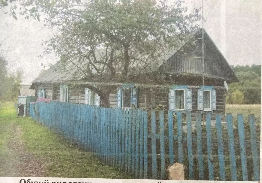 Помещение свободного назначения в Брянская область, Красногорское ... - Фото 1