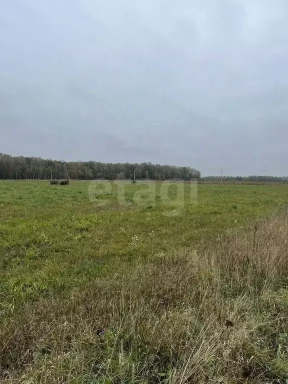Участок в Тульская область, Тула городской округ, д. Медвенка, ... - Фото 1