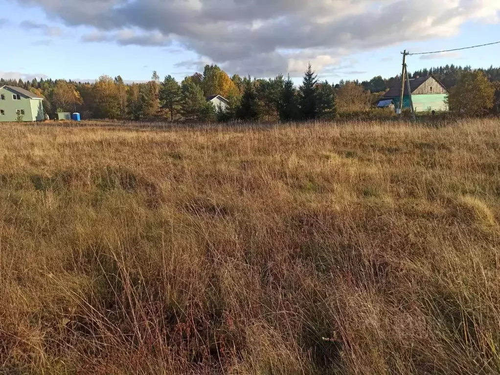 Участок в Ленинградская область, Приозерский район, Красноозерное ... - Фото 1