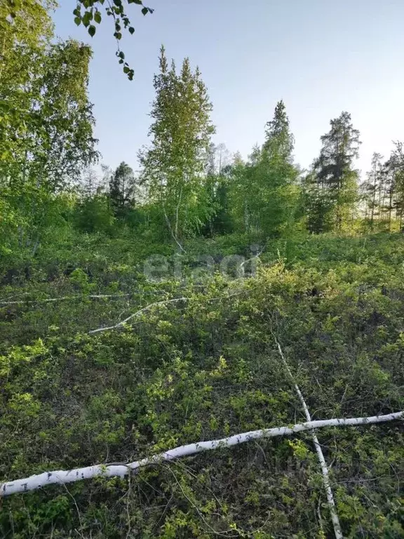 Участок в Саха (Якутия), Покровск  (10.3 сот.) - Фото 0
