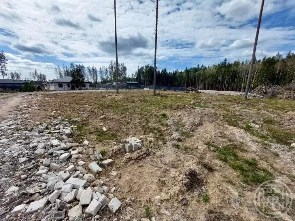 Участок в Ленинградская область, Сертолово Всеволожский район, Медное ... - Фото 2