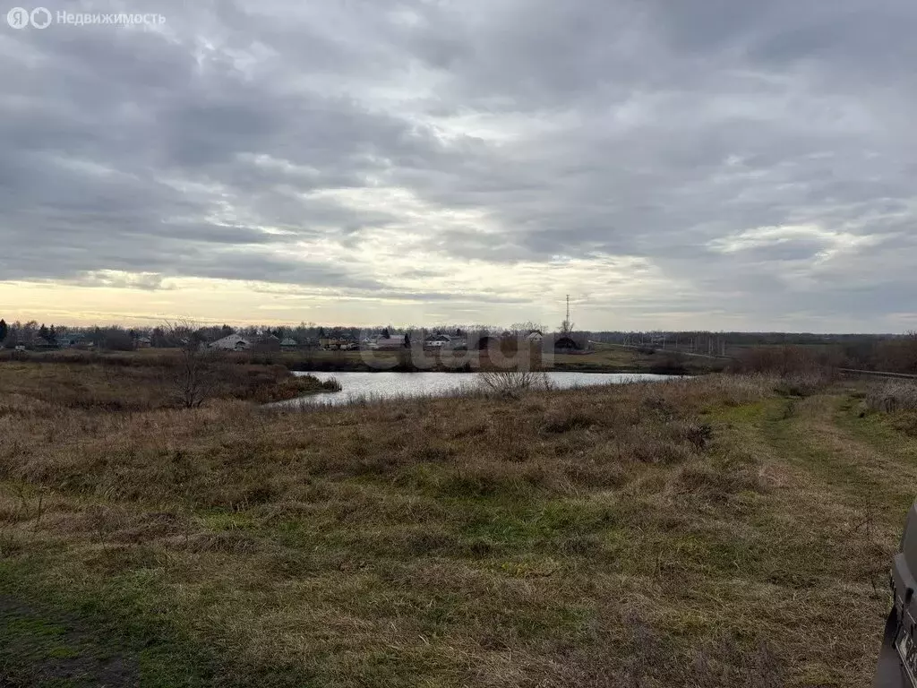 Участок в Тамбовский муниципальный округ, село Селезни (18.58 м) - Фото 2