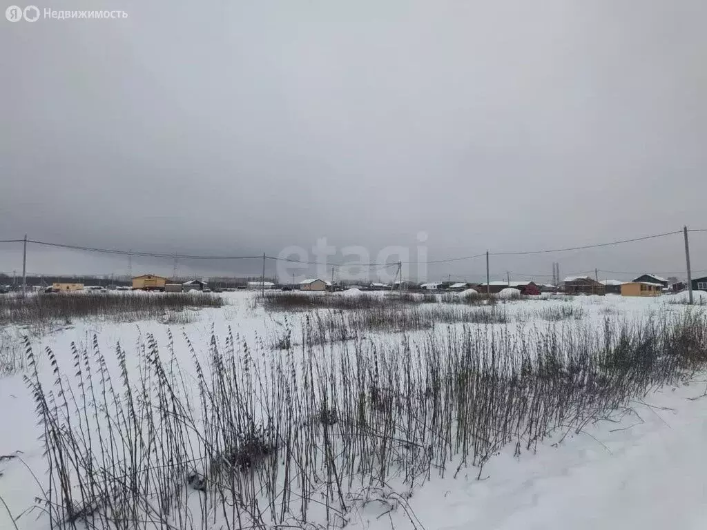 Участок в Архангельская область, Приморский муниципальный округ, ... - Фото 1