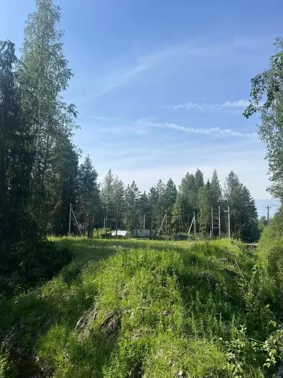 Участок в Ленинградская область, Всеволожское городское поселение  ... - Фото 0