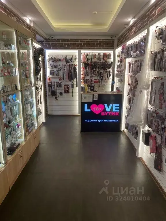 Помещение свободного назначения в Санкт-Петербург Невский просп., 65 ... - Фото 2