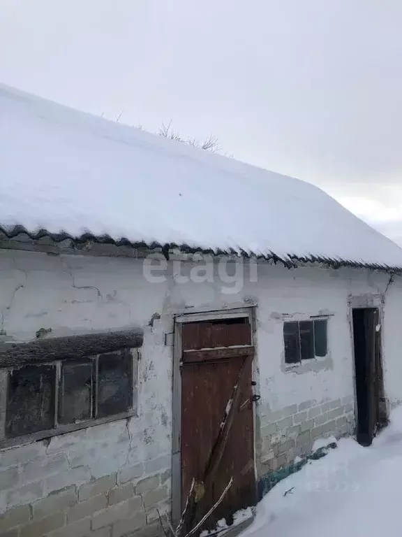 Дом в Белгородская область, Белгородский район, Новосадовское с/пос, ... - Фото 1