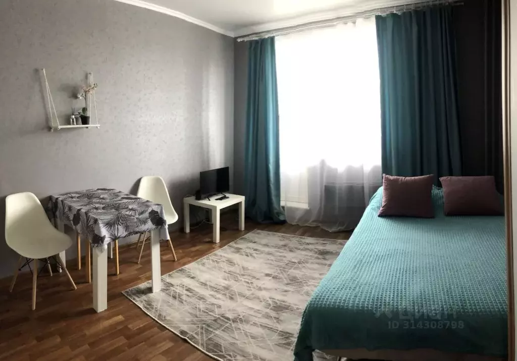 Студия Новосибирская область, Новосибирск Березовая ул., 19 (24.0 м) - Фото 0