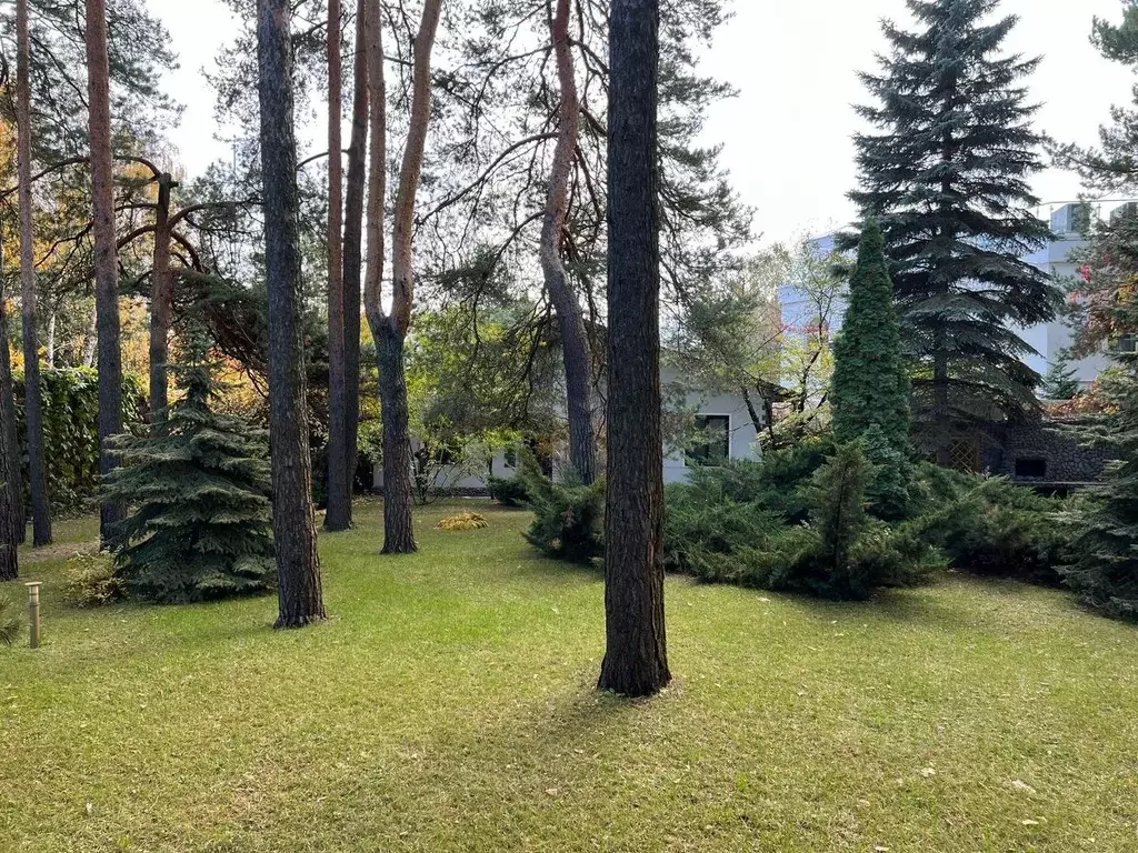 Дом в Московская область, Одинцовский городской округ, д. Барвиха  (50 ... - Фото 1