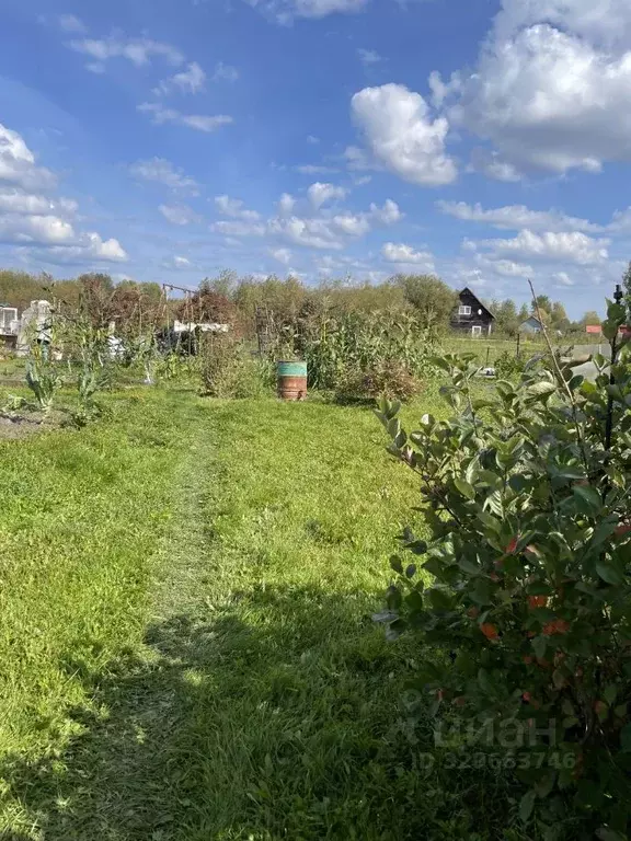 Дом в Новосибирская область, Колыванский район, Вилана садовое ... - Фото 2