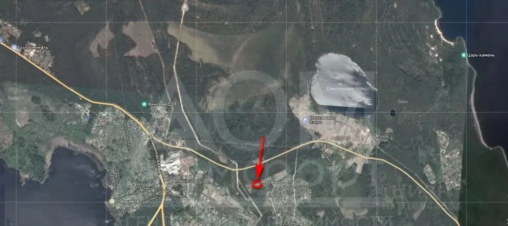 Участок в Ленинградская область, Приозерский район, Ларионовское ... - Фото 2