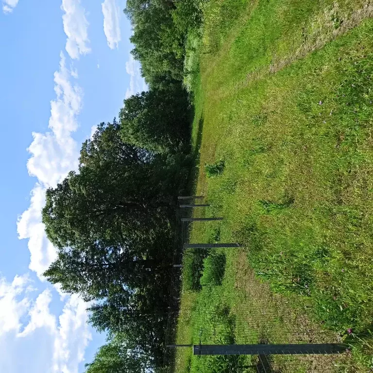 Продается участок в с. Фроловское - Фото 1