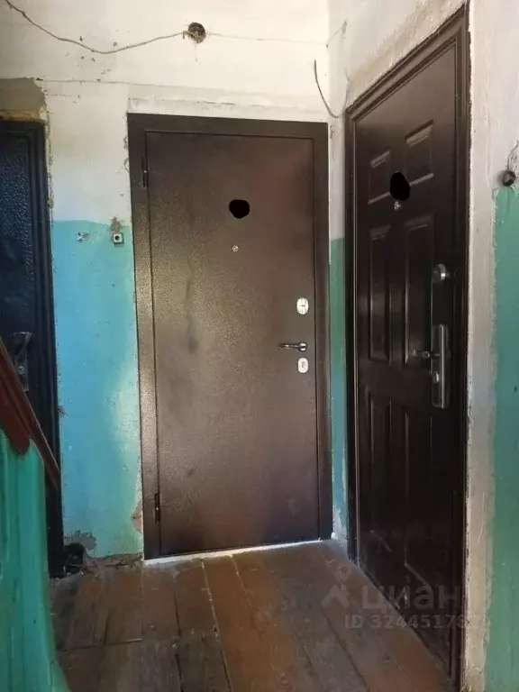 2-к кв. Новгородская область, Малая Вишера Лесная ул., 16 (38.2 м) - Фото 2