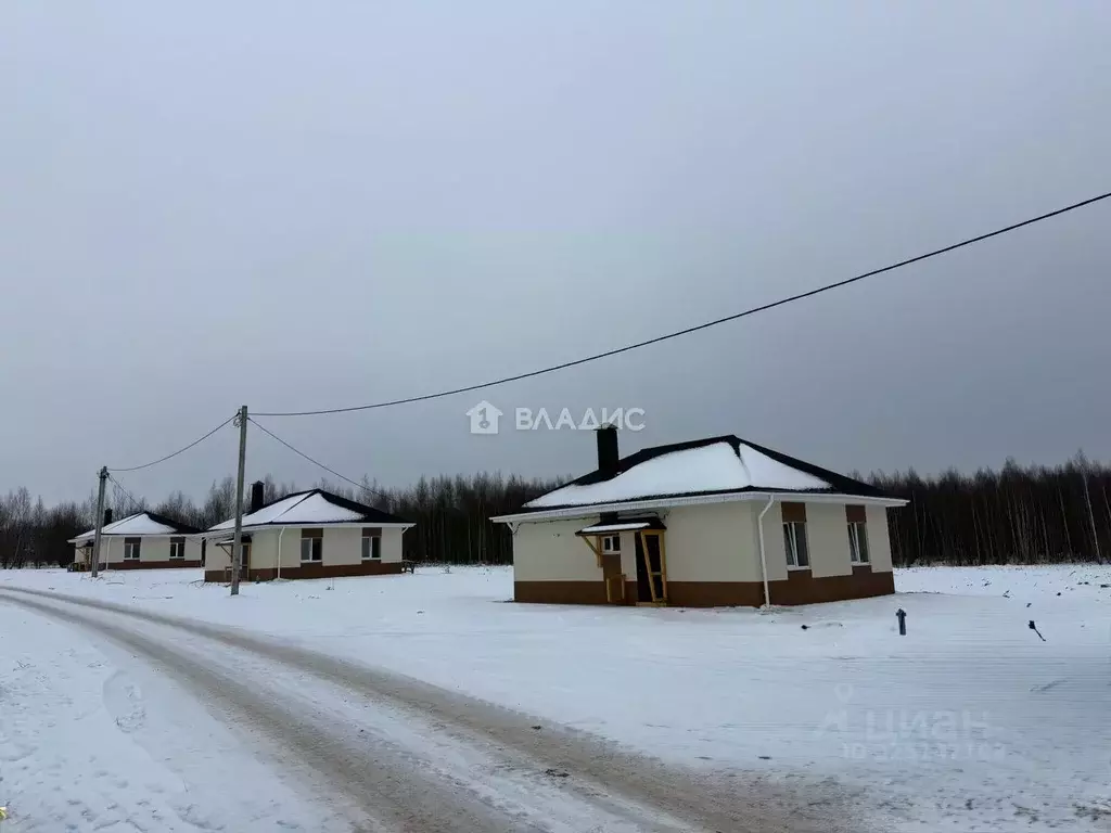 Дом в Нижегородская область, Нижний Новгород д. Студенец, ул. ... - Фото 1