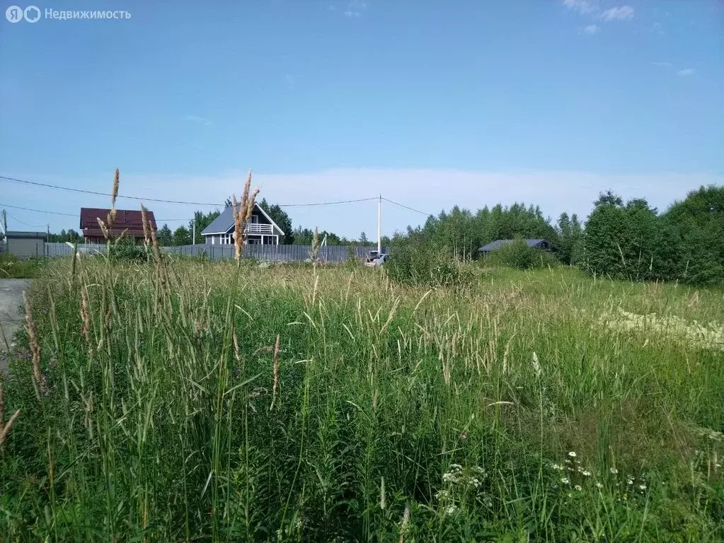 Участок в Всеволожский район, Лесколовское сельское поселение, деревня ... - Фото 1