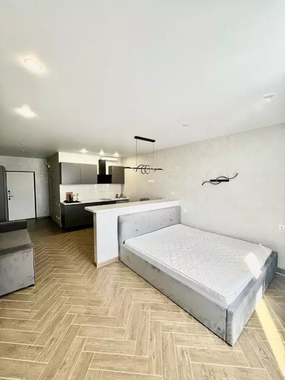 Студия Краснодарский край, Сочи городской округ, Дагомыс пгт ш. ... - Фото 1