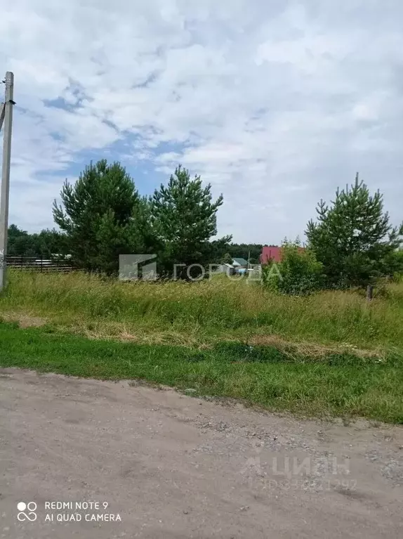 Участок в Алтайский край, Калманский район, с. Зимари Боровая ул., 2 ... - Фото 1