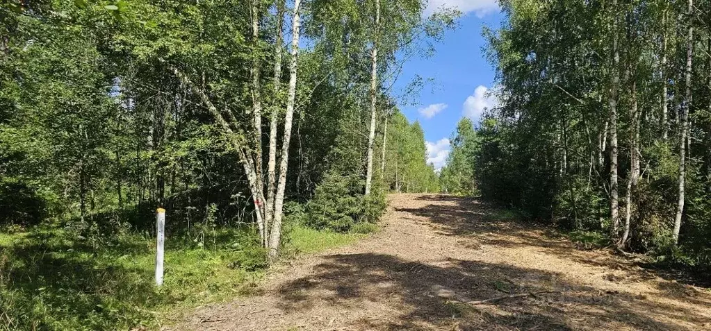 Участок в Московская область, Щелково городской округ, д. Огуднево  ... - Фото 1