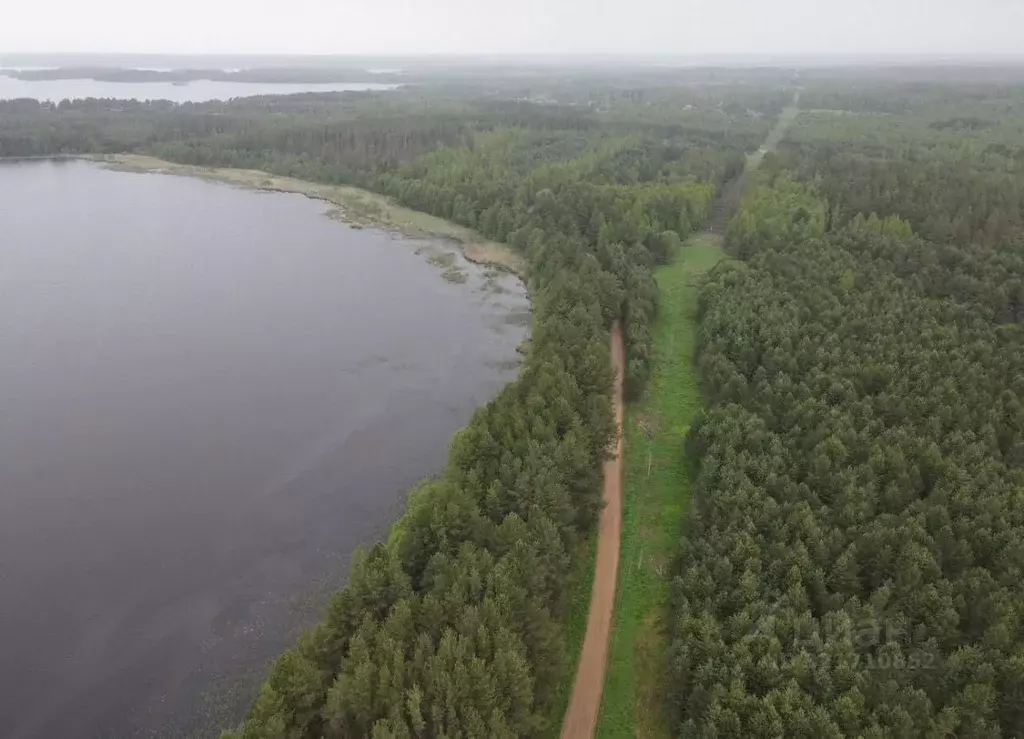 Участок в Псковская область, Куньинский район, Жижицкая волость, д. ... - Фото 1