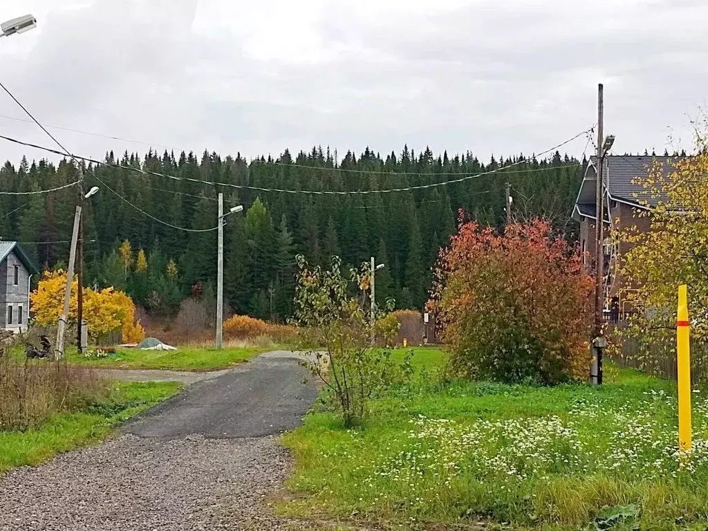 Участок в Свердловская область, Нижний Тагил Тенистая ул. (14.4 сот.) - Фото 1